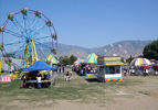 Arvin Wildflower festival