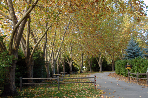 California Park in Ben Lomond, Santa Cruz County