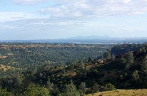 Butte County Landscape