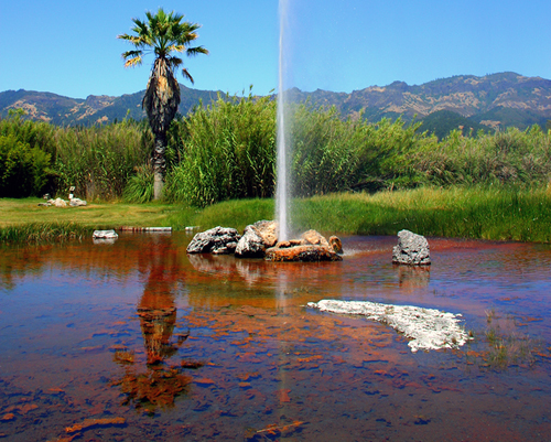 Calistoga: Old Faithful Gyser