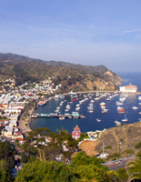 Vertical Photo of Avalon Bay