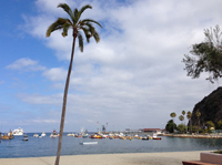 Avalon Harbor Viewed From the Beach