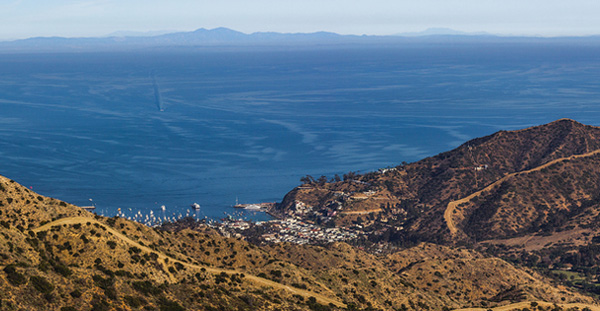 Avalon Viewed From Very High