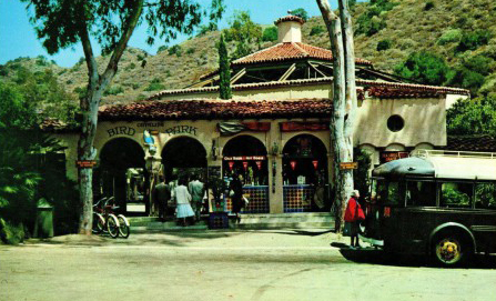 Catalina Island Bird Park Historic Postcard