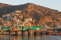 Green Pleasure Pier and Avalon