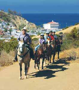 Horseback Riding on Catalina Island