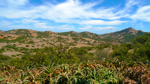 Interior of  Catalina Island