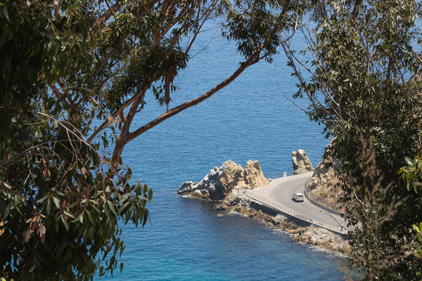 Lovers Cove and a Bend in the Road