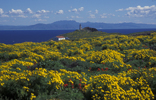 Anacapa Island