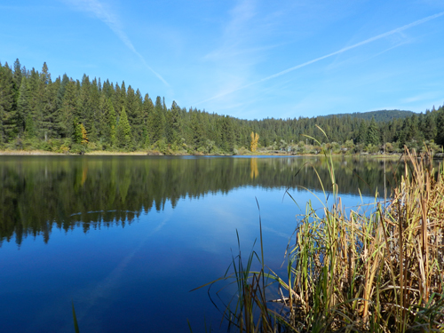 White Pines Lake in Arnold, California