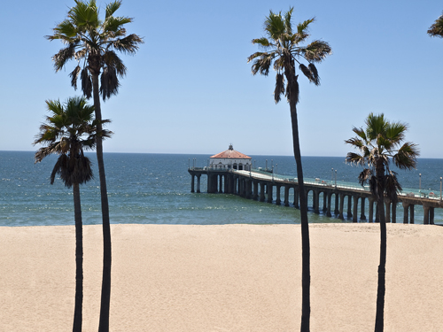 Manhattan Beach: Pier, Beach, and Palm Trees