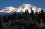 Mount Shasta