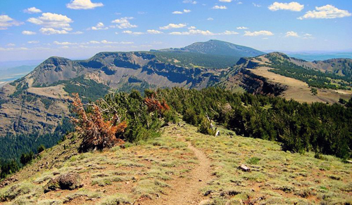 Modoc County: Modoc National Forest Summit Trail