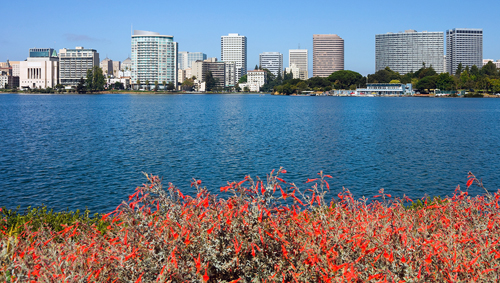 Oakland: Merritt Lake and Downtown Oakland